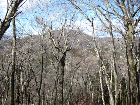 20200110hike (89)